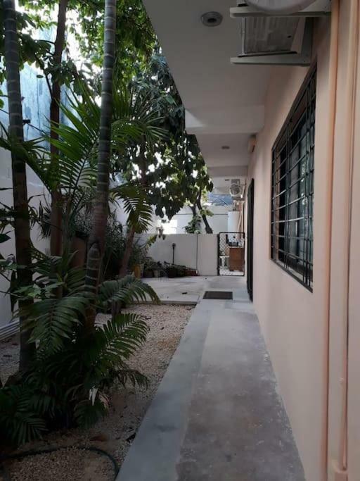 Estudio En Cancun Centro Exteriör bild